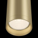 Потолочный светильник Maytoni Technical Focus SLC010CL-01MG